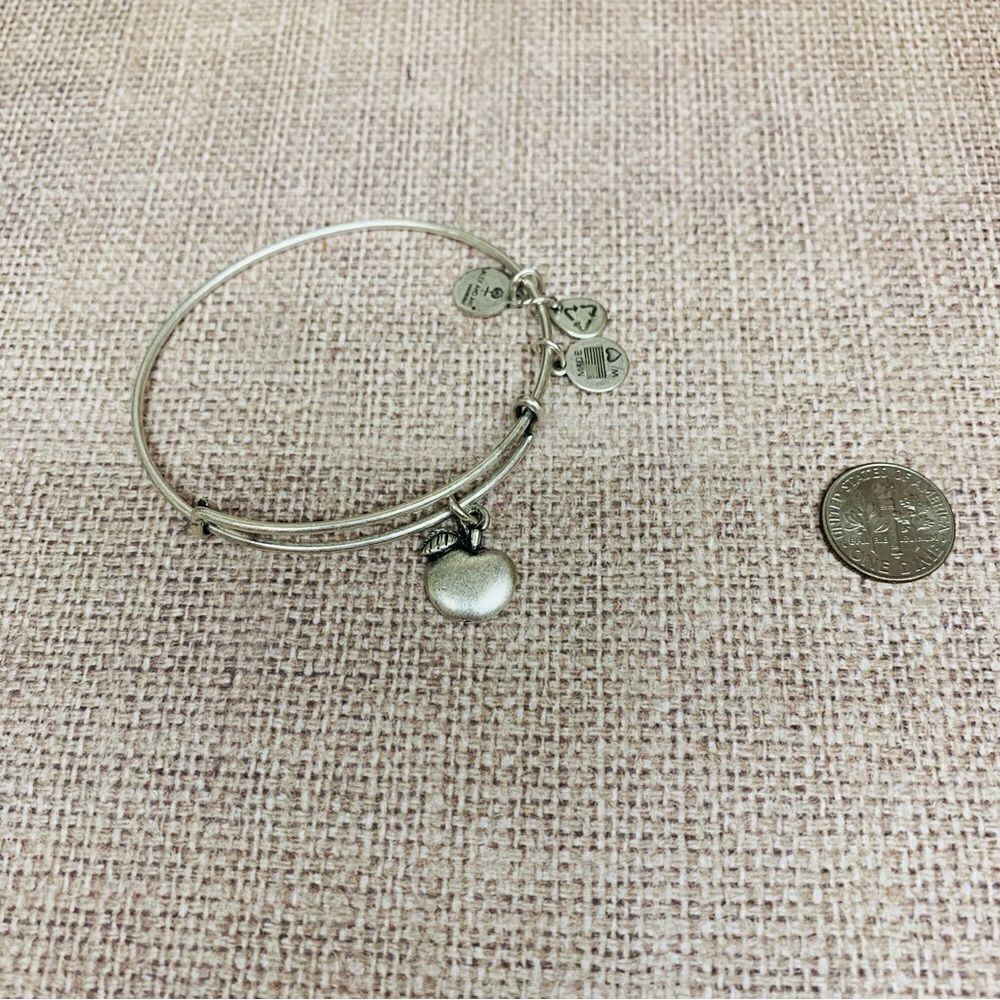 Alex and‎ Ani Silver Apple Bracelet